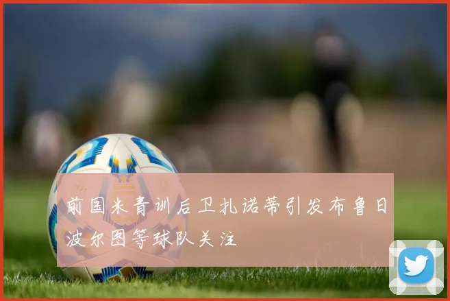 前国米青训后卫扎诺蒂引发布鲁日波尔图等球队关注