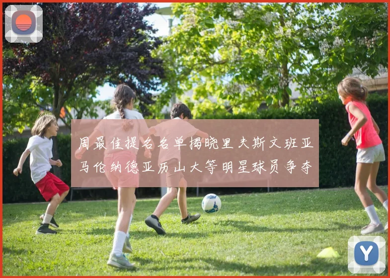 周最佳提名名单揭晓里夫斯文班亚马伦纳德亚历山大等明星球员争夺荣誉