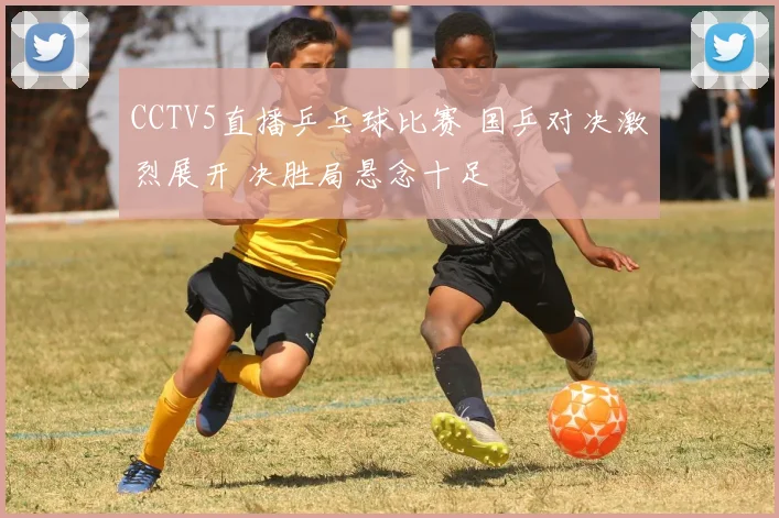 CCTV5直播乒乓球比赛 国乒对决激烈展开 决胜局悬念十足